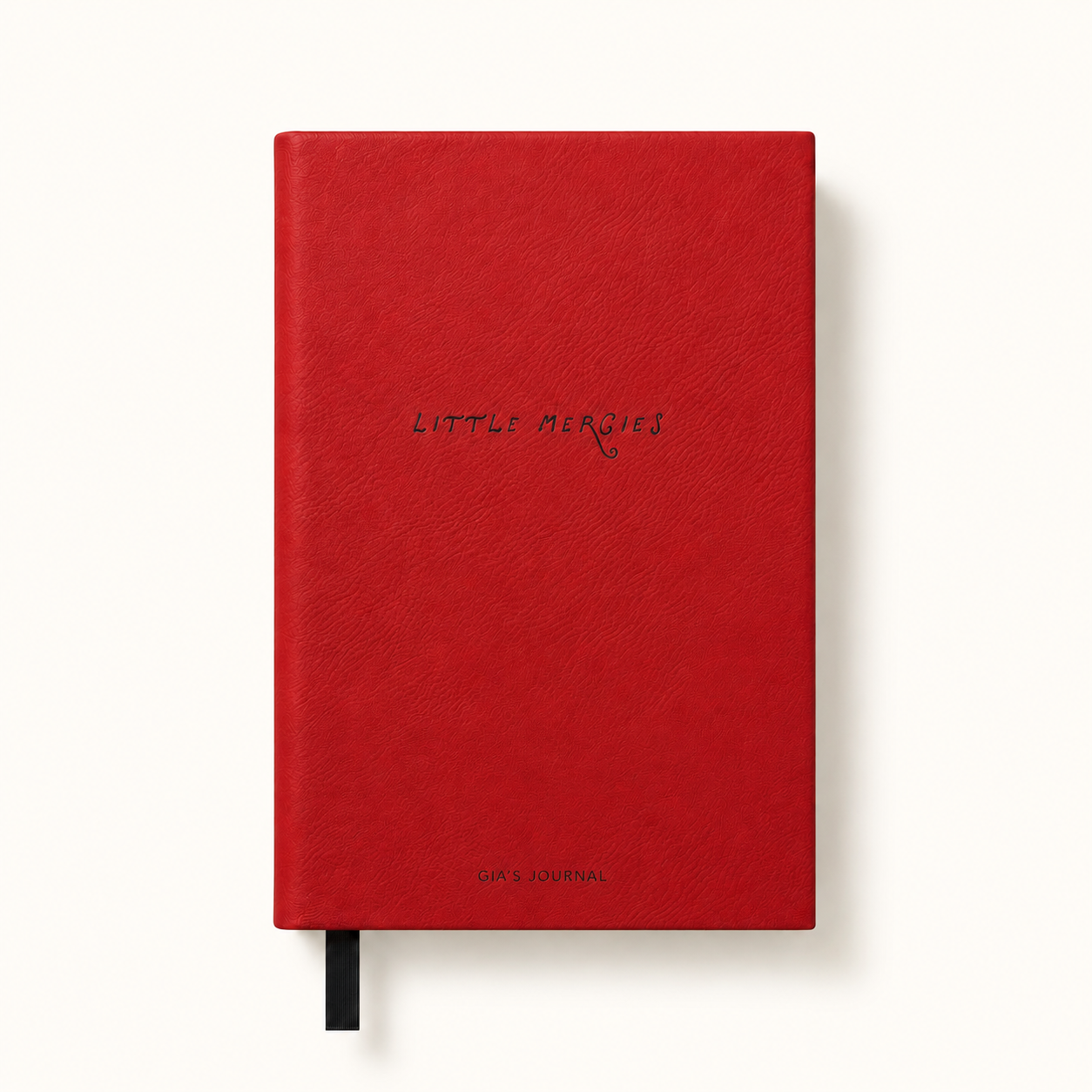 Little Mercies Gratitude Journal