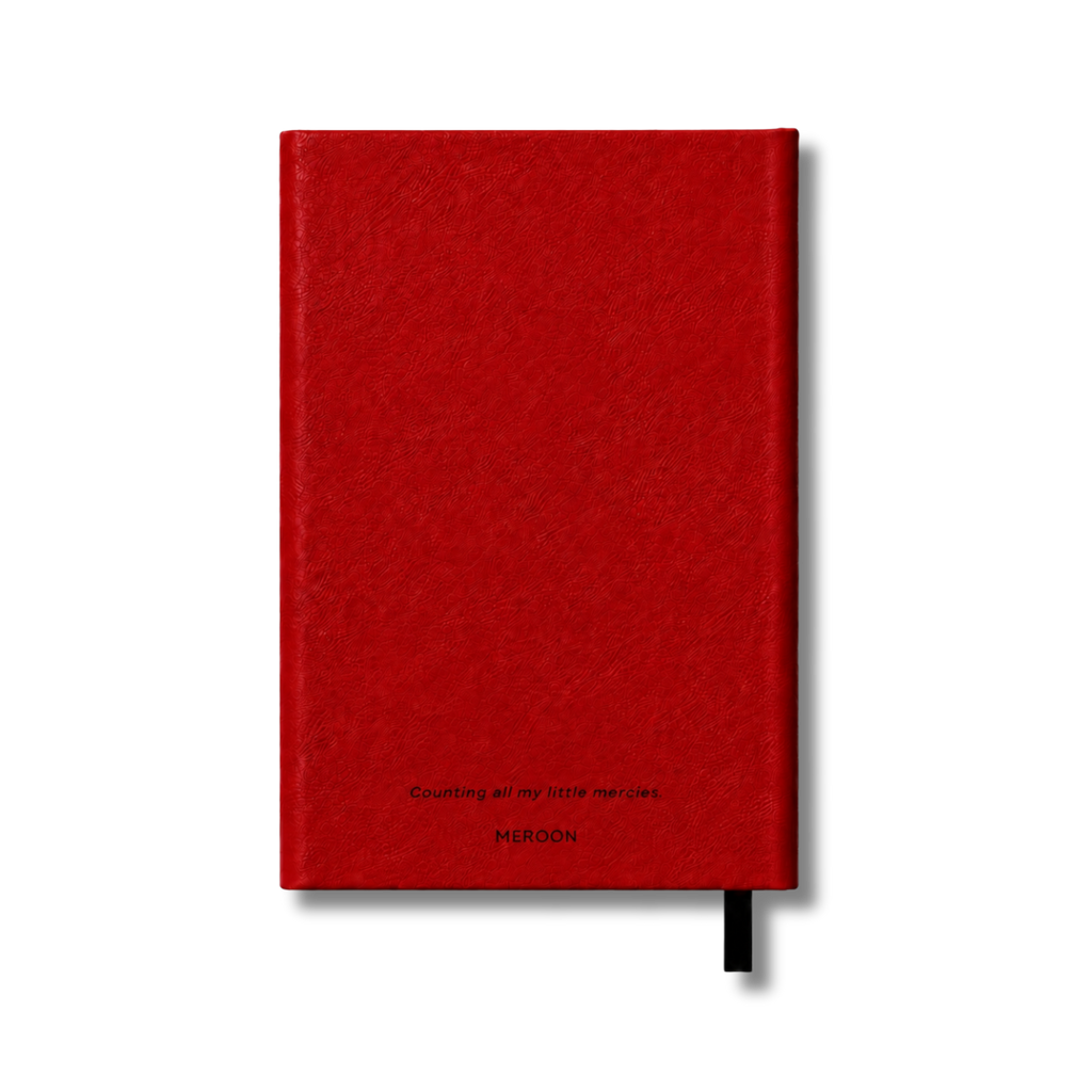 Little Mercies Gratitude Journal