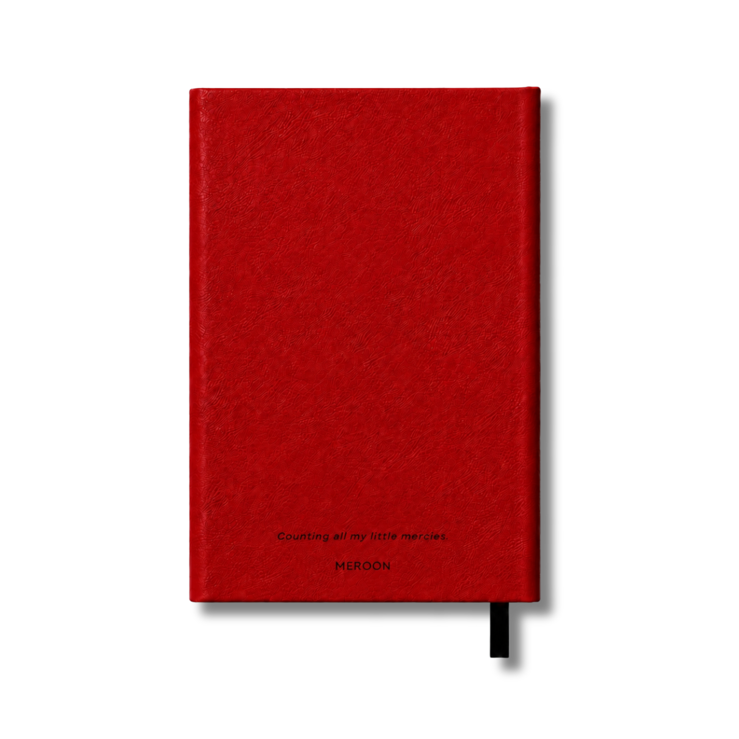 Little Mercies Gratitude Journal