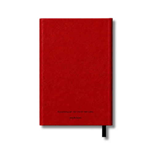 Little Mercies Gratitude Journal